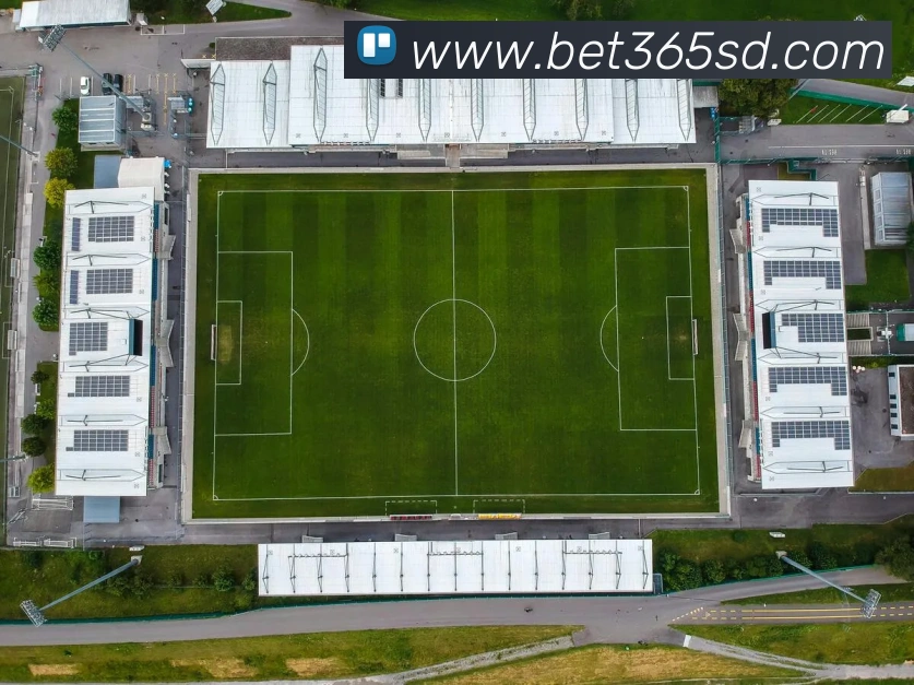 bet365中国官网发展历程